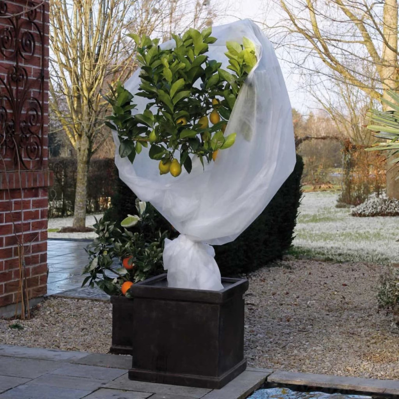 Produktbild för Nature Frostskydd för växter fleece 30 g/m vit 4x6 m