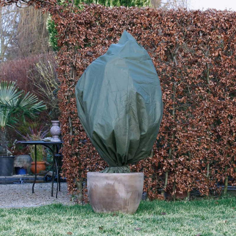 Produktbild för Nature Frostskydd för växter fleece 70 g/m grön 2,5x3 m