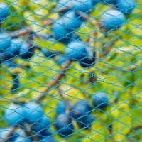 Produktbild för Nature Fågelnät Nano 5x4 m blå