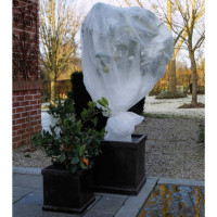 Miniatyr av produktbild för Nature Frostskydd för växter fleece 30 g/m² vit 2x5 m