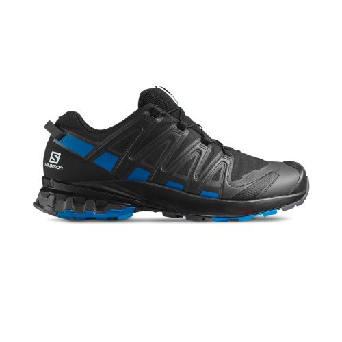 Salomon XA Pro 3D v8 GTX Shoe Mixed colours Male