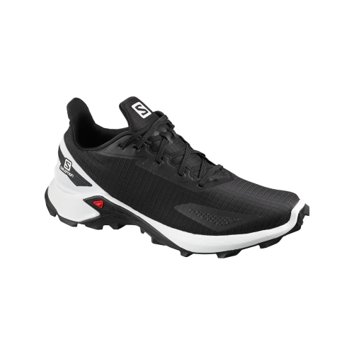 Salomon Alphacross Blast Shoe Black Male