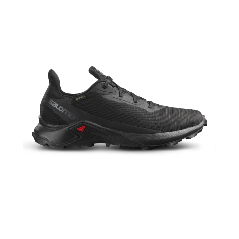 Produktbild för Alphacross GTX Shoe Black Male