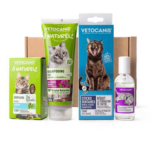 Vetocanis Healthy Cat by Vetocanis