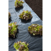 Produktbild för Nature Markduk 3x4 m 150µ svart