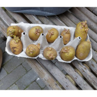 Miniatyr av produktbild för Nature Potatissäck för odling 37 L antracit