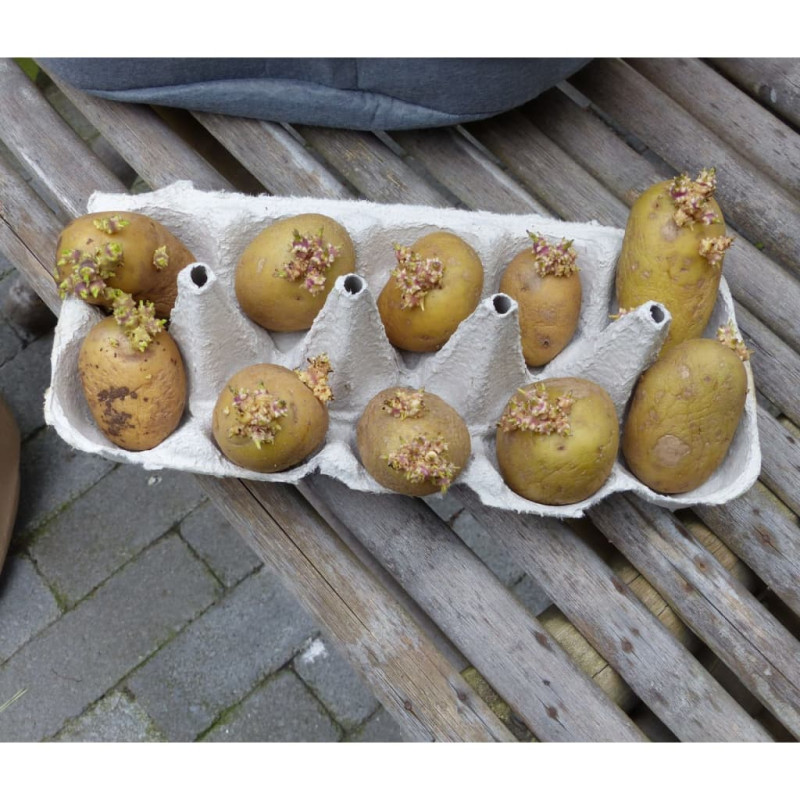 Produktbild för Nature Potatissäck för odling 37 L antracit