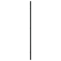 Produktbild för Väggspegel svart 40x80 cm rektangulär järn