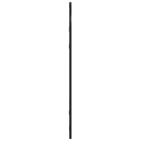 Produktbild för Väggspegel svart 30x60 cm bågform järn