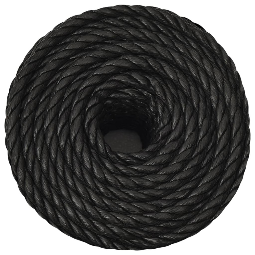 Produktbild för Rep svart 12 mm 25 m polypropen