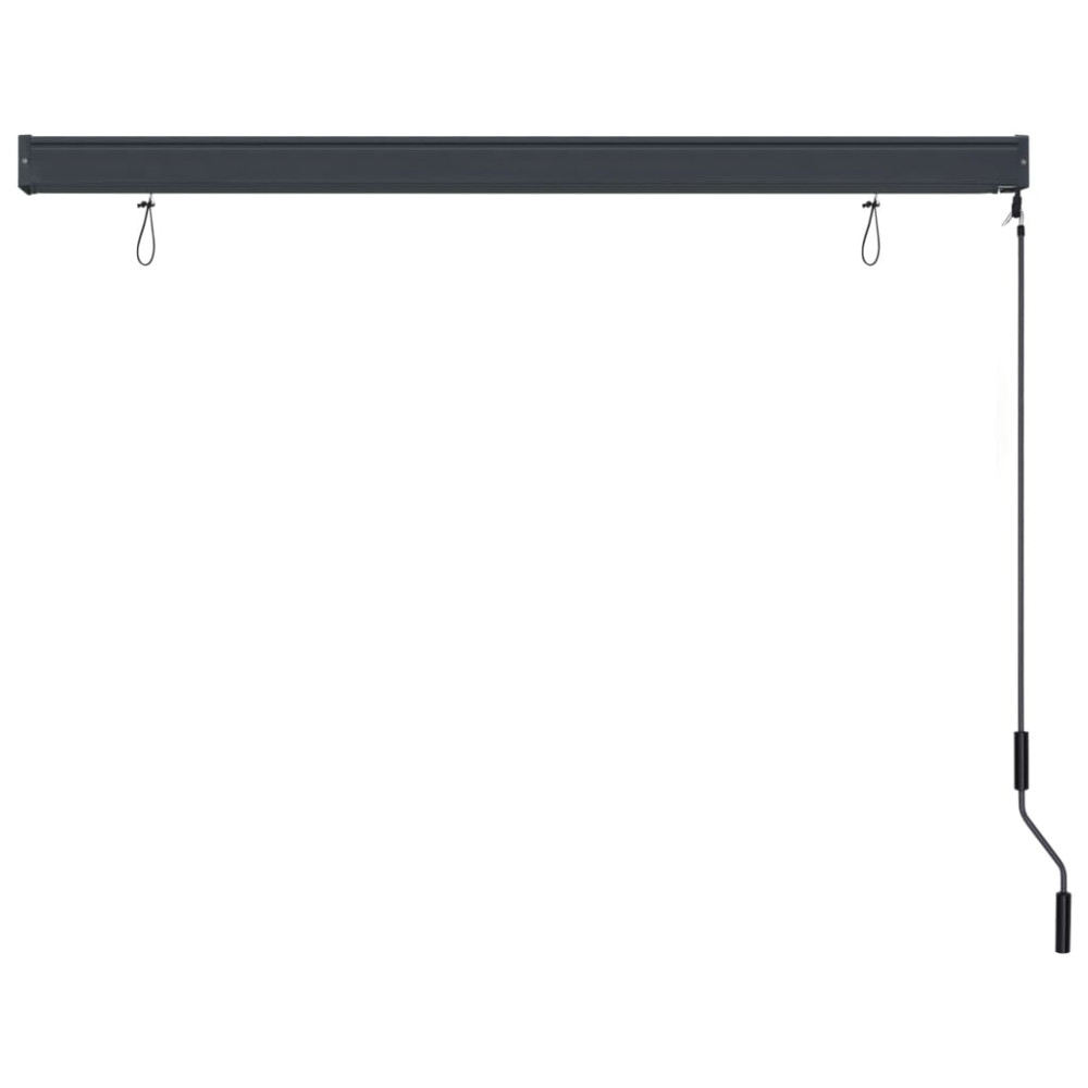 Produktbild för Rullgardin utomhus 160x250 cm antracit