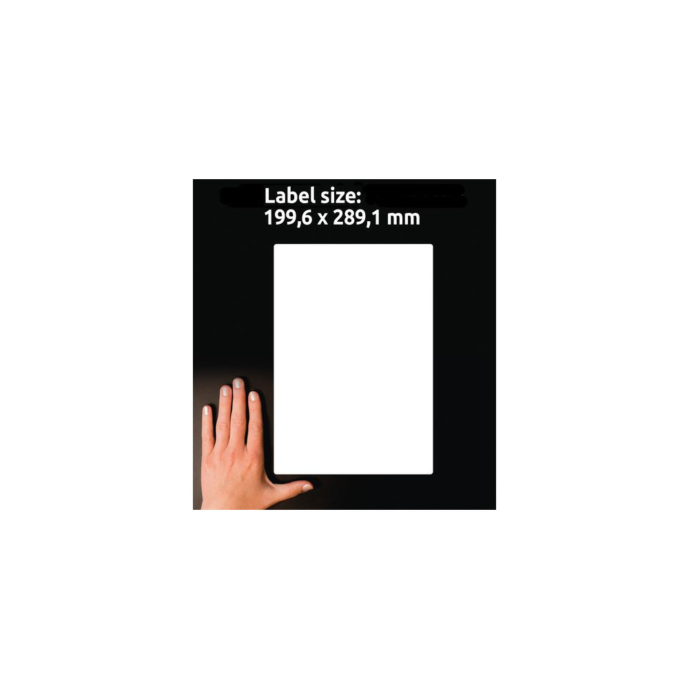 Produktbild för Etikett AVERY QP 19,9x298,1mm 100/fp