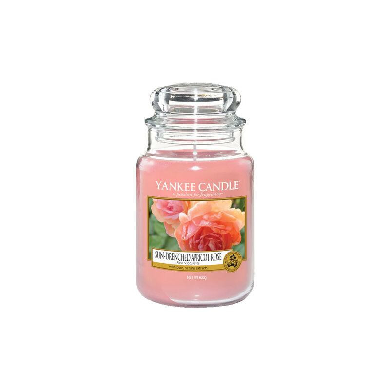 Produktbild för Classic Large Jar Sun-Drenched Apricot Rose 623g