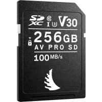 Produktbild för Angelbird SD AV PRO SDXC, SD 6.1, UHS-I, R100/W92 (V30) 256GB