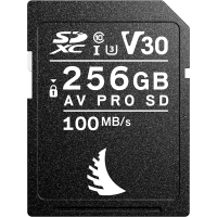 Miniatyr av produktbild för Angelbird SD AV PRO SDXC, SD 6.1, UHS-I, R100/W92 (V30) 256GB