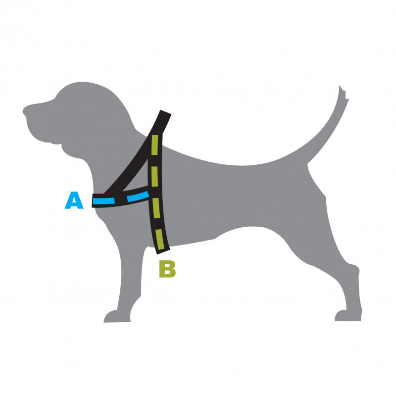 Produktbild för Dog T Harness Active