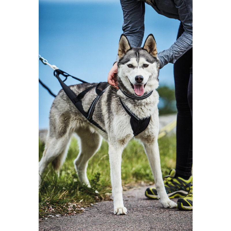 Produktbild för Dog Harness Nome Active