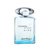Miniatyr av produktbild för Incanto Pour Homme Blue Edt 100ml