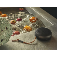 Produktbild för Bang & Olufsen Beosound A1 2nd Gen Antracit, Svart