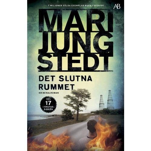 Mari Jungstedt Det slutna rummet (bok, storpocket)