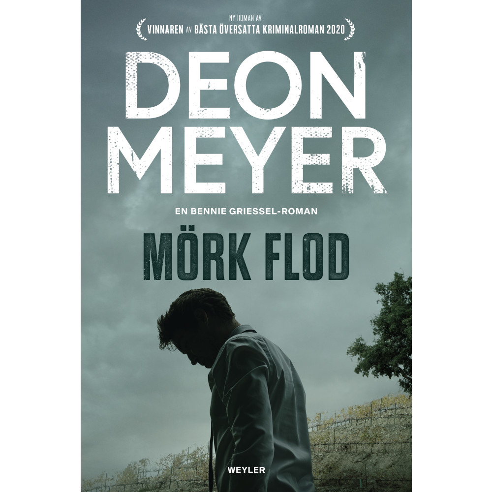 Produktbild för Mörk flod (inbunden)