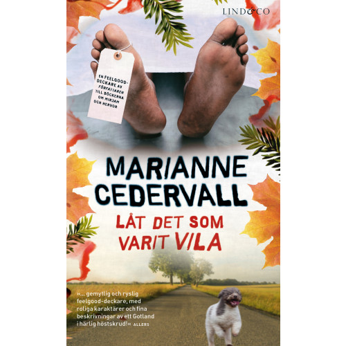 Marianne Cedervall Låt det som varit vila (pocket)