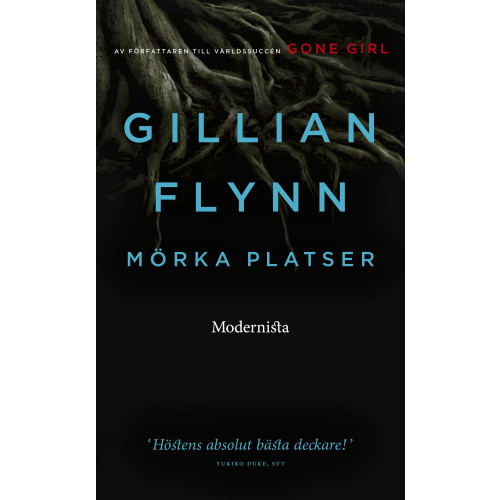 Gillian Flynn Mörka platser (pocket)
