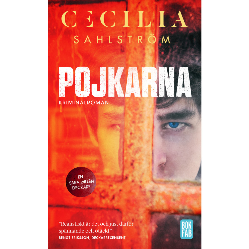 Produktbild för Pojkarna (pocket)