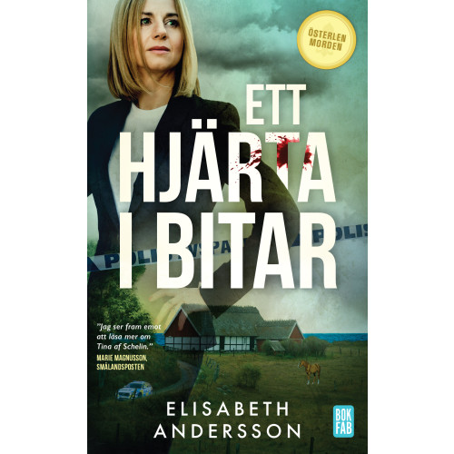 Elisabeth Andersson Ett hjärta i bitar (pocket)
