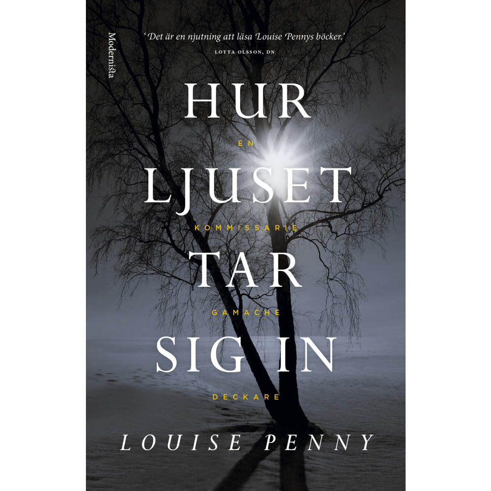 Produktbild för Hur ljuset tar sig in (inbunden)