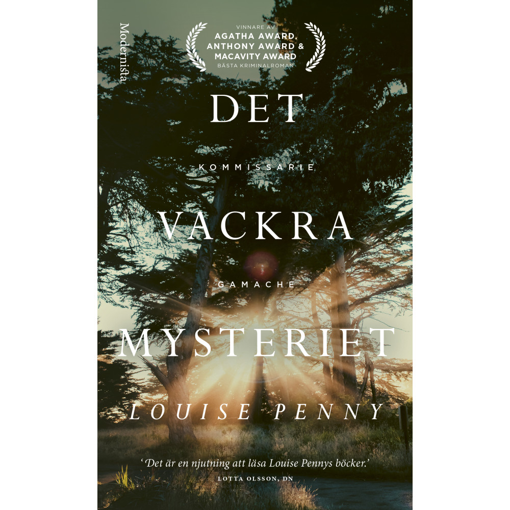 Produktbild för Det vackra mysteriet (pocket)