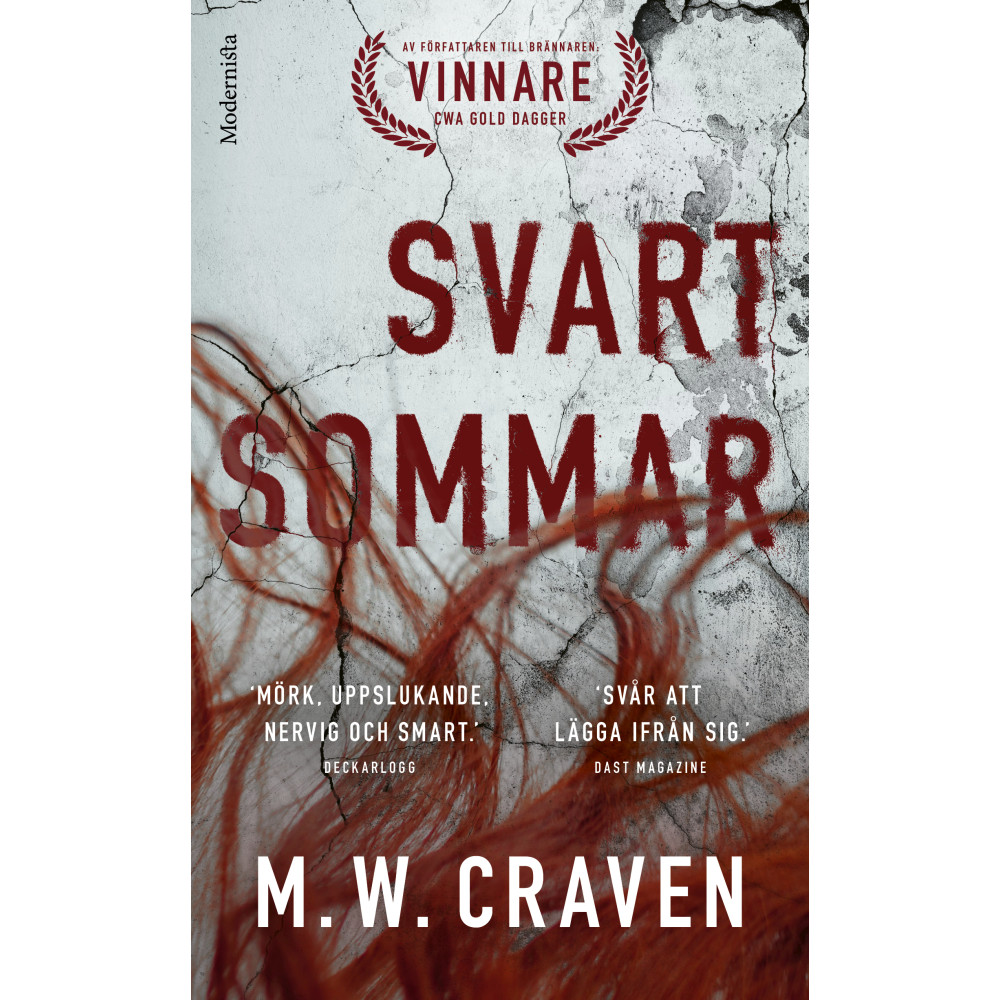Produktbild för Svart sommar (pocket)