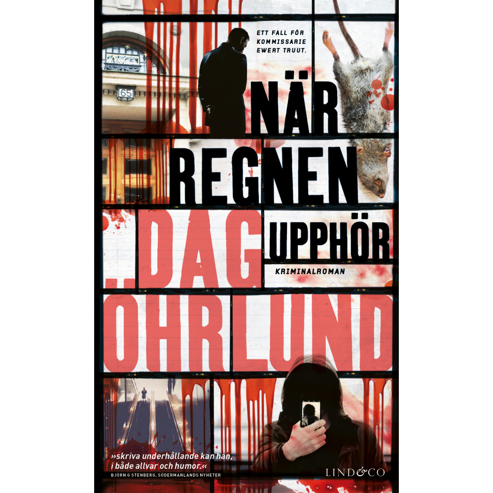 Produktbild för När regnen upphör (pocket)