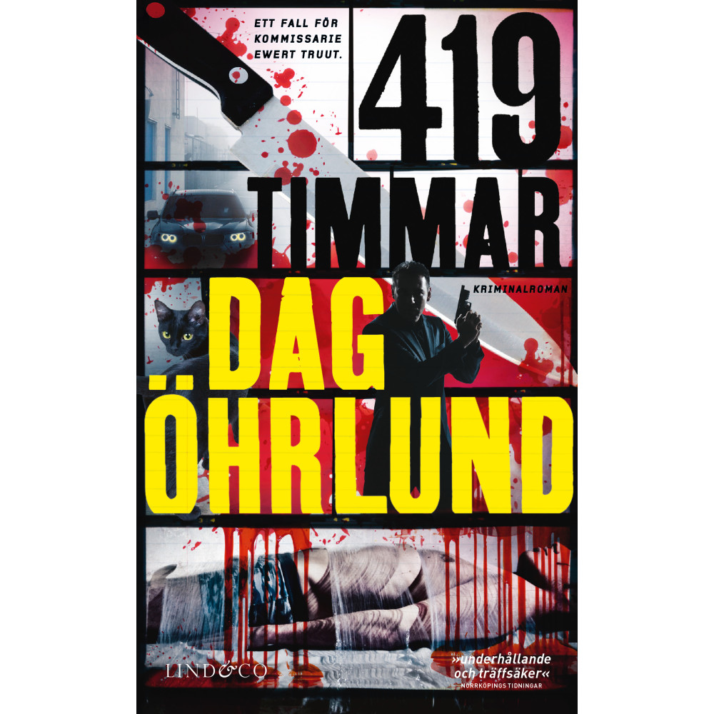 Produktbild för 419 timmar (pocket)