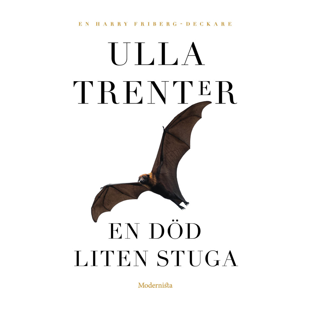 Produktbild för En död liten stuga (häftad)