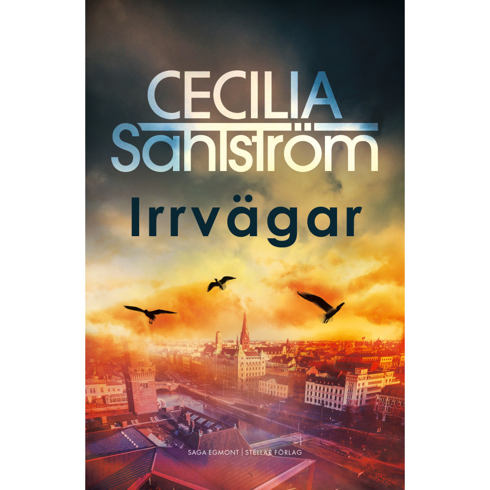 Produktbild för Irrvägar (inbunden)