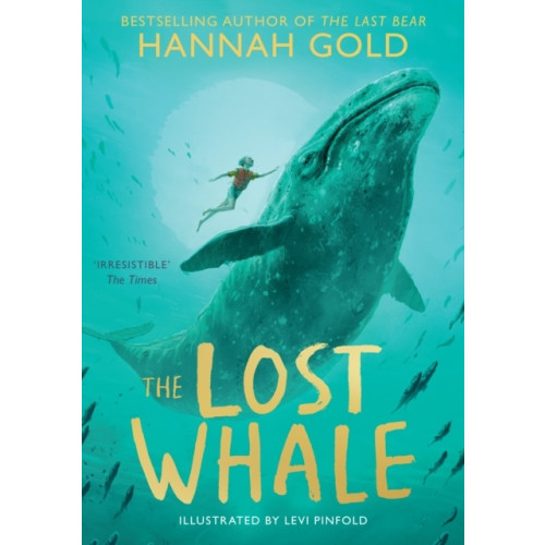 Hannah Gold The Lost Whale (pocket, eng)
