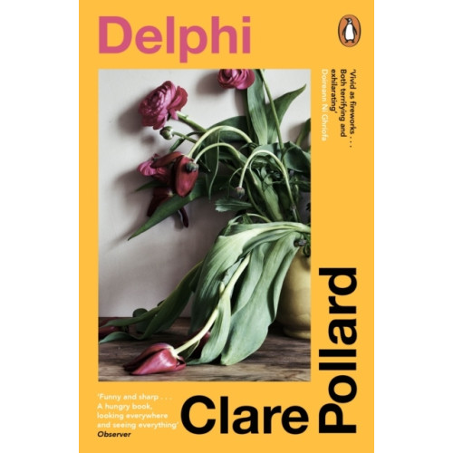 Clare Pollard Delphi (pocket, eng)