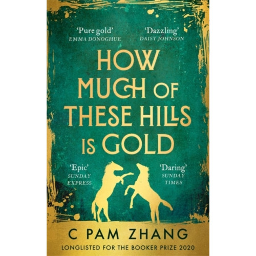 C Pam Zhang How Much of These Hills is Gold (pocket, eng)