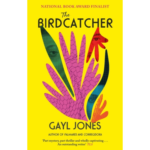 Gayl Jones The Birdcatcher (pocket, eng)