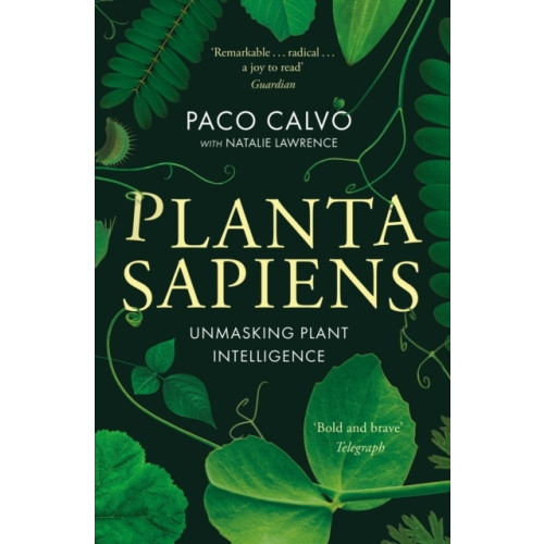 Paco Calvo Planta Sapiens (pocket, eng)