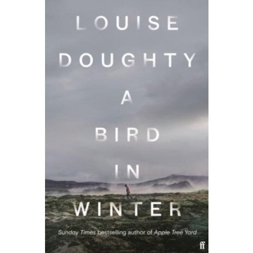Louise Doughty A Bird in Winter (häftad, eng)