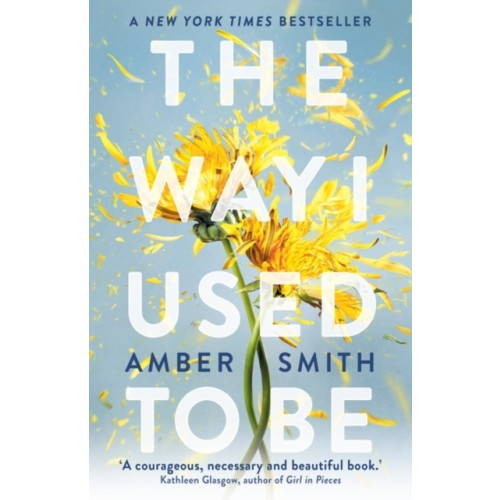Amber Smith The Way I Used to Be (pocket, eng)