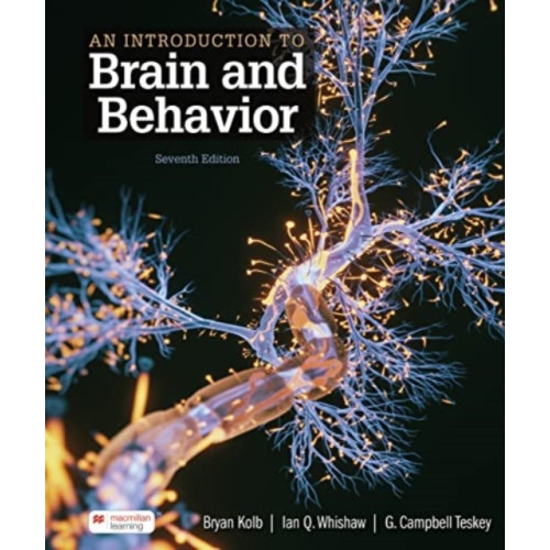 Bryan Kolb Introduction to Brain and Behavior (häftad, eng)
