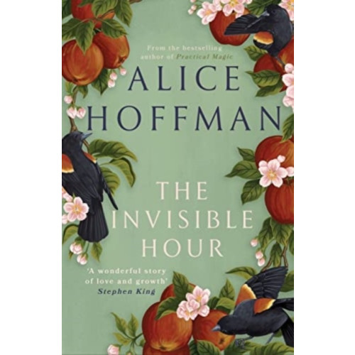 Alice Hoffman The Invisible Hour (häftad, eng)