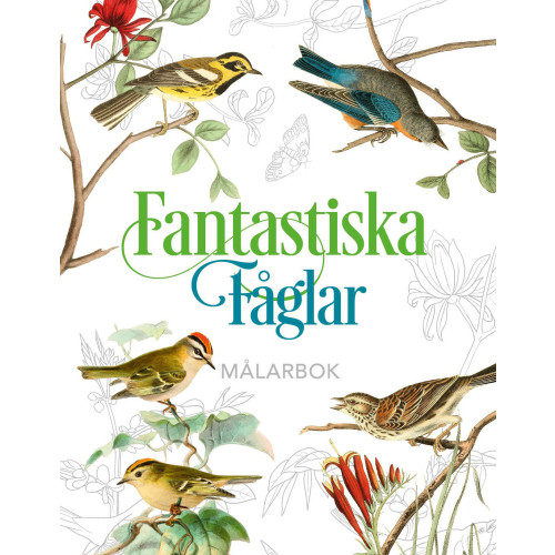 Barthelson Förlag Fantastiska fåglar - målarbok (inbunden)