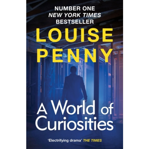 Louise Penny A World of Curiosities (pocket, eng)