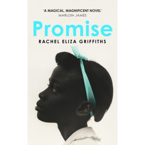 Rachel Eliza Griffiths Promise (häftad, eng)