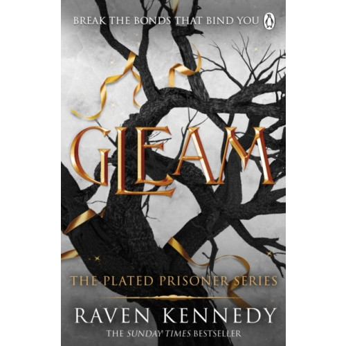 Raven Kennedy Gleam (pocket, eng)
