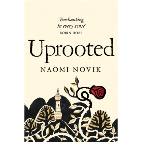 Naomi Novik Uprooted (pocket, eng)
